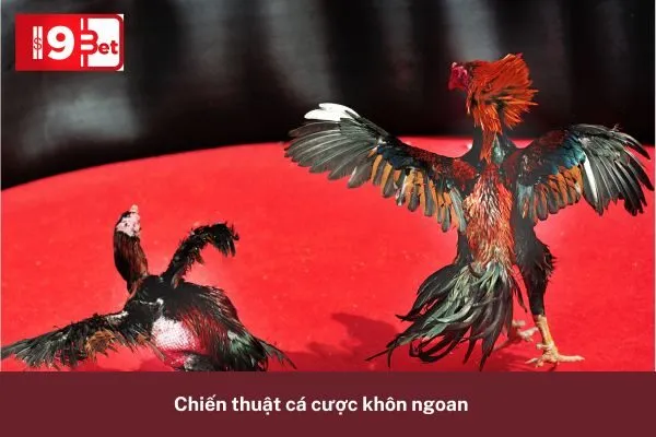 Mẹo Thắng Lớn Khi Cá Cược Đá Gà i9bet