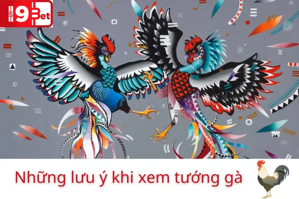 Bí Quyết Xem Tướng Gà Chiến Hiệu Quả