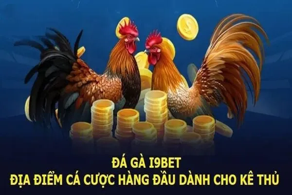 Hướng Dẫn Chơi Đá Gà Trực Tuyến i9bet