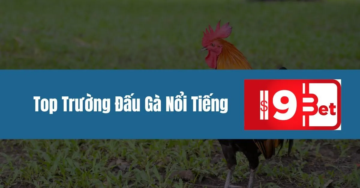 Top Trường Đấu Gà Nổi Tiếng